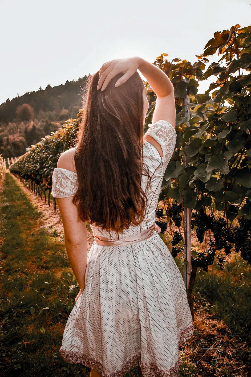 Portrait – Im Weinberg